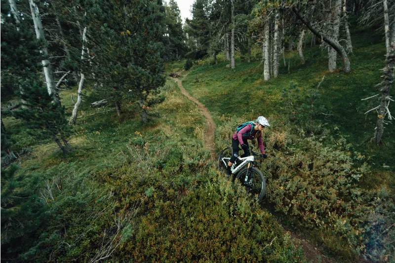 Orbea Rise M20 29er Mountain Bike 2022 Sap White/Green Fog-3